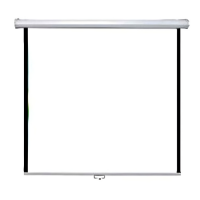 Apollo 96"x96" Wall Projection Screen